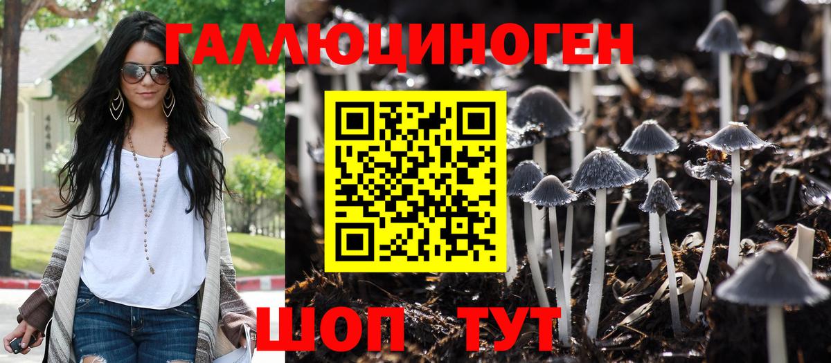 Галлюциногенные грибы Psilocybe Щёлково